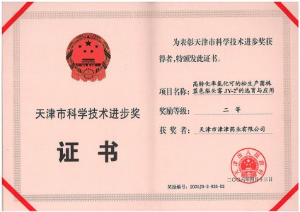 2006年天津市科學(xué)技術(shù)進(jìn)步二等獎